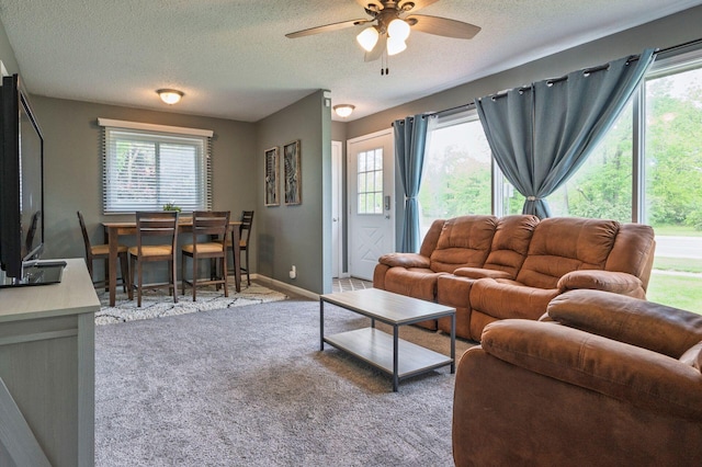 1949 Grove Rd, Ypsilanti, MI 48198 - living room with a textured ceiling, a ceiling fan, carpet, and plenty of natural light