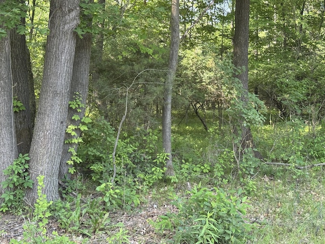 VL 7 Mile Road, Belding, MI 48809