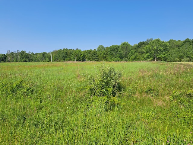 2ACRESVL 36th St, Gobles, MI 49055