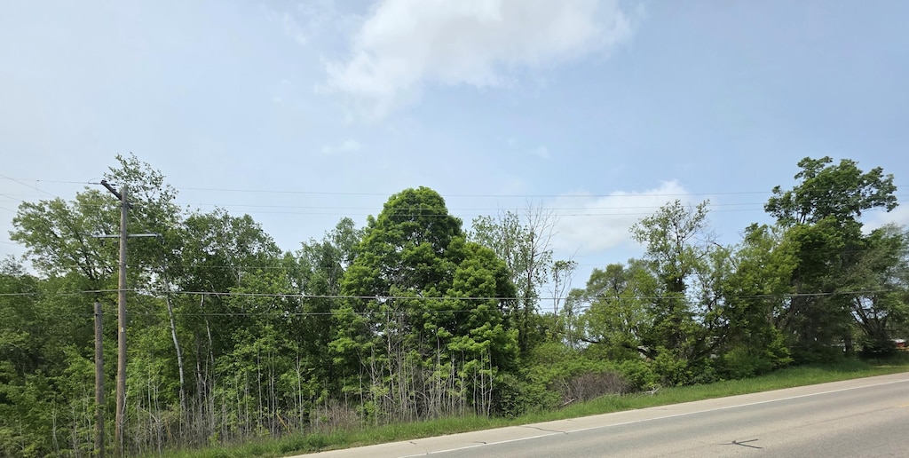 V/LLOT5 S State St, Stanton, MI 48888