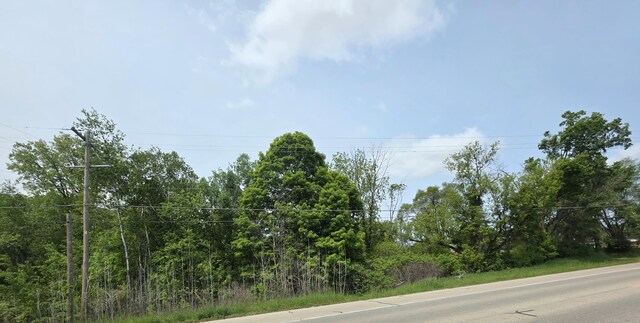V/LLOT5 S State St, Stanton, MI 48888