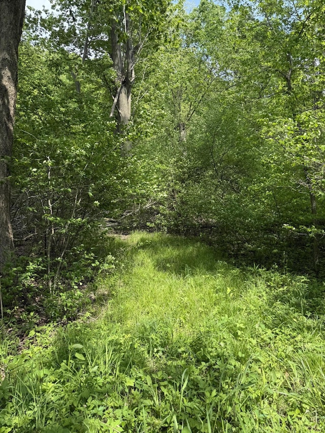 V/L Scottdale Rd, Berrien Springs, MI 49103