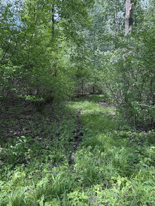V/L Scottdale Rd, Berrien Springs, MI 49103