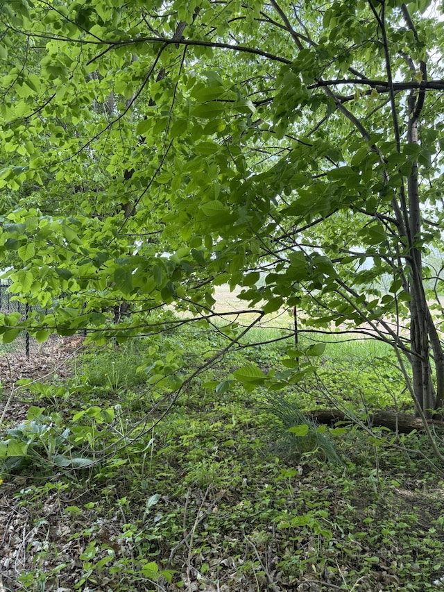 V/L Scottdale Rd, Berrien Springs, MI 49103