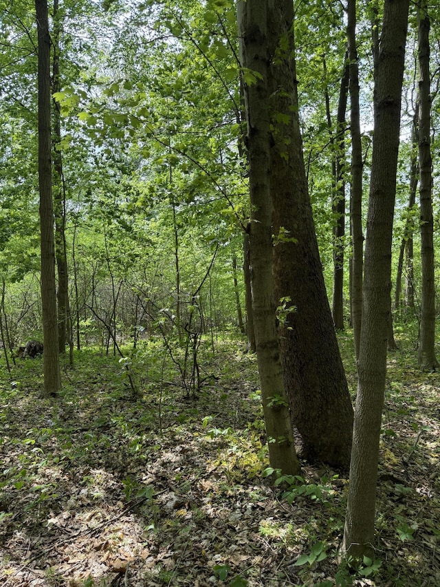 V/L Scottdale Rd, Berrien Springs, MI 49103