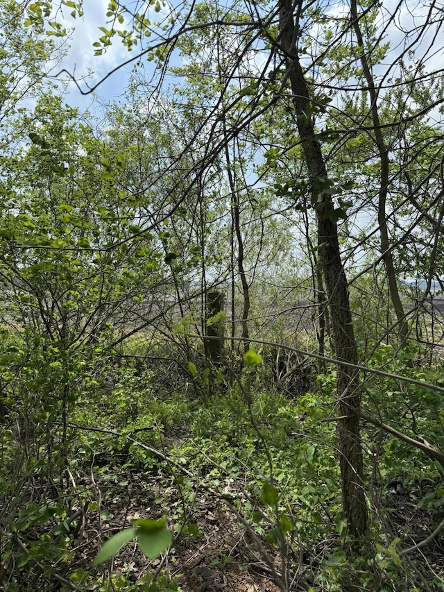 V/L Scottdale Rd, Berrien Springs, MI 49103