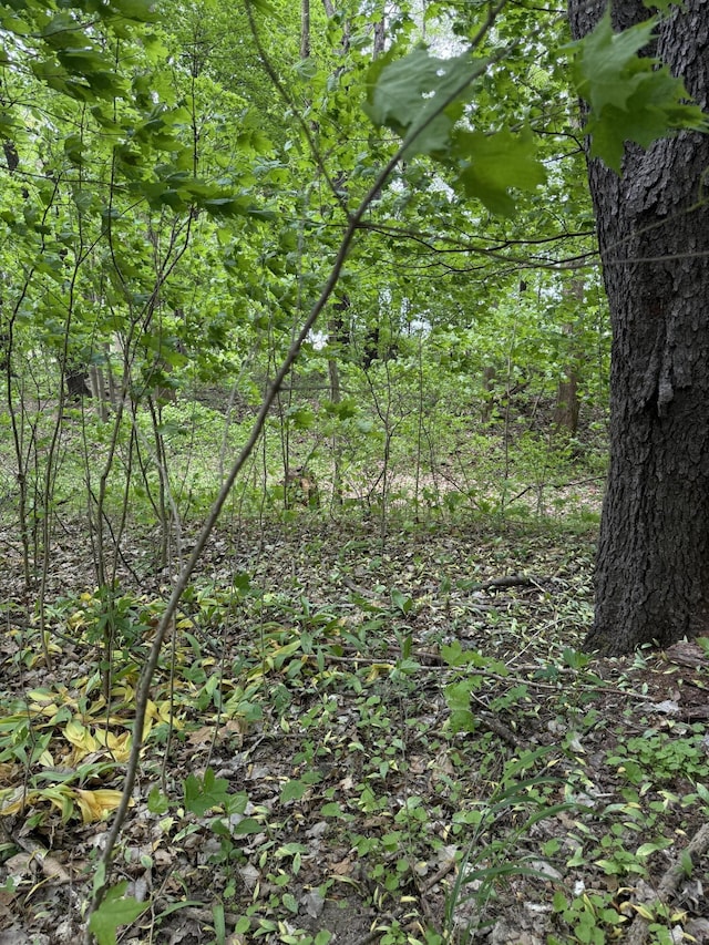V/L Scottdale Rd, Berrien Springs, MI 49103