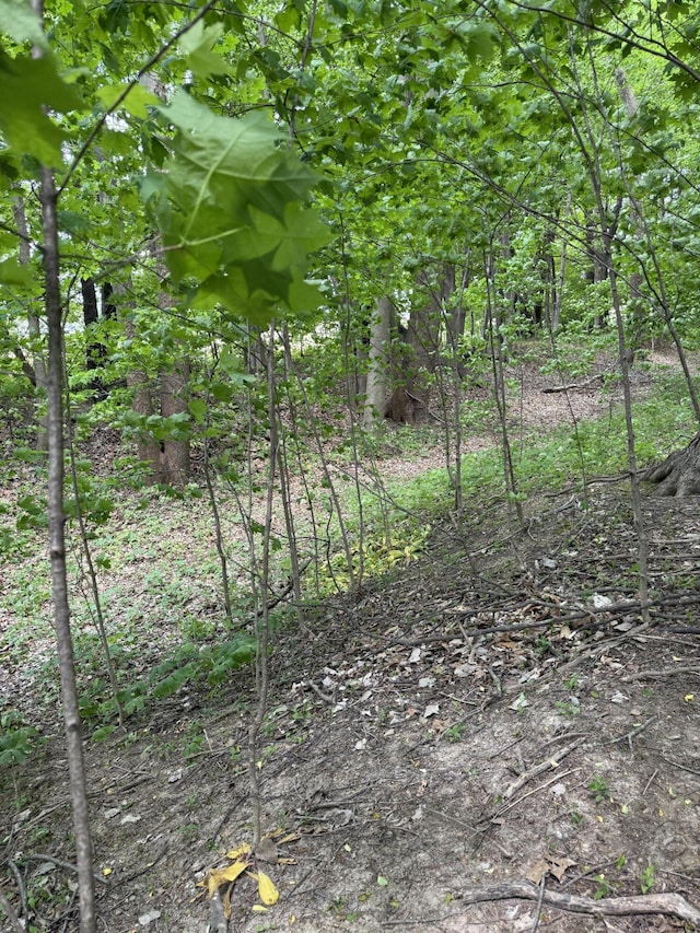 V/L Scottdale Rd, Berrien Springs, MI 49103