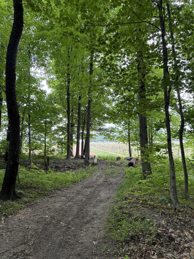 V/L Scottdale Rd, Berrien Springs, MI 49103