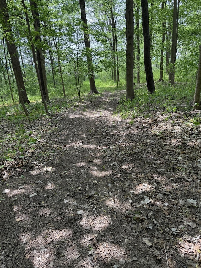 V/L Scottdale Rd, Berrien Springs, MI 49103