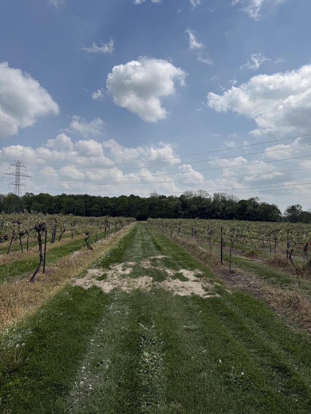 V/L Scottdale Rd, Berrien Springs, MI 49103