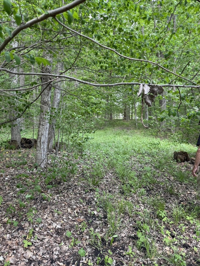 V/L Scottdale Rd, Berrien Springs, MI 49103
