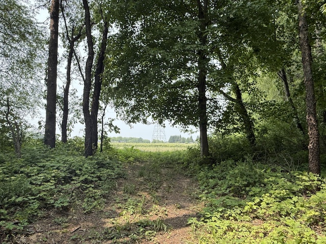 V/L Scottdale Rd, Berrien Springs, MI 49103