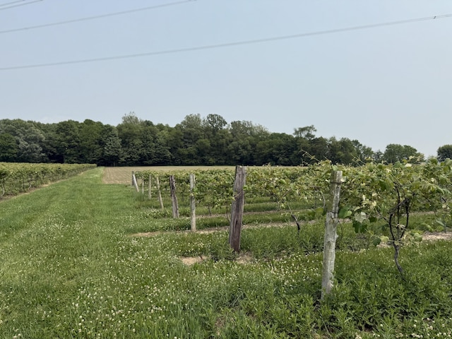 V/L Scottdale Rd, Berrien Springs, MI 49103