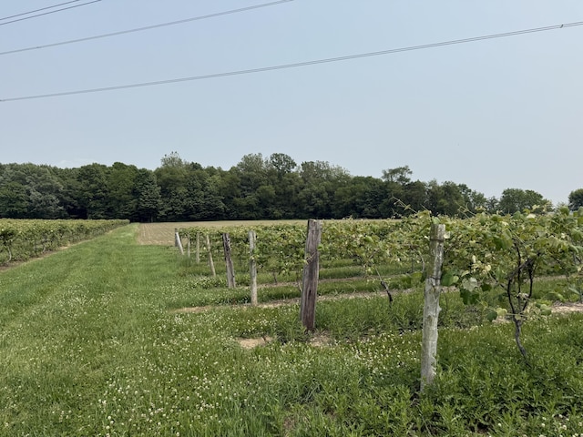 V/L Scottdale Rd, Berrien Springs, MI 49103