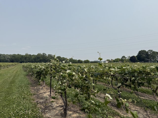 V/L Scottdale Rd, Berrien Springs, MI 49103