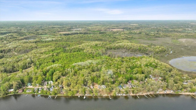 V/L Shady Ln, Fenwick City, MI 48834