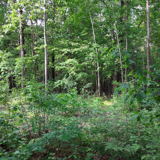 V/L Shady Ln, Fenwick City, MI 48834