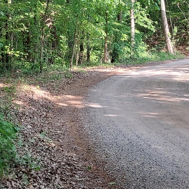 V/L Shady Ln, Fenwick City, MI 48834
