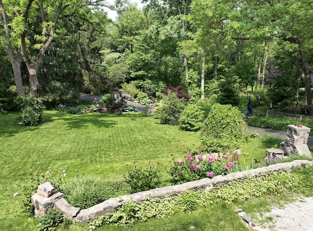 818 S 7th St, Ann Arbor, MI 48103 - view of grassy yard