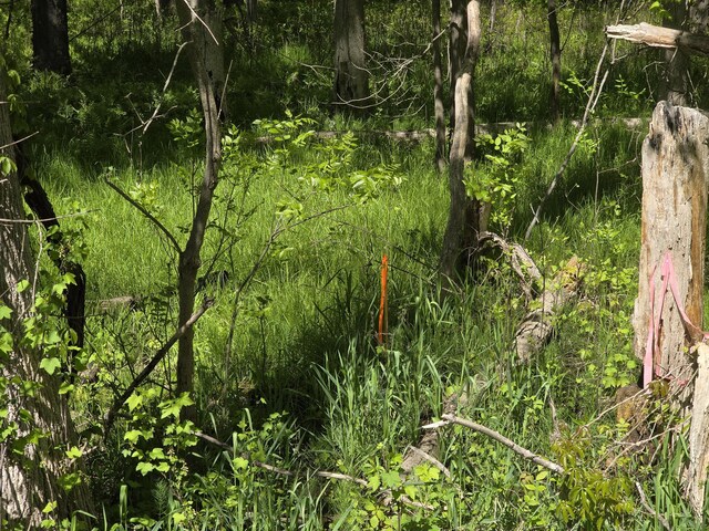 2147 E Beyer Rd, Free Soil, MI 49411