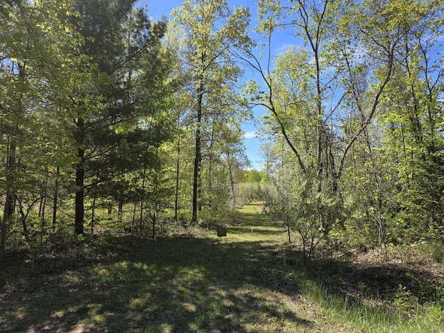 2147 E Beyer Rd, Free Soil, MI 49411