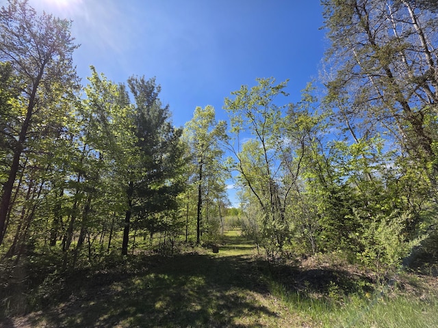 2147 E Beyer Rd, Free Soil, MI 49411