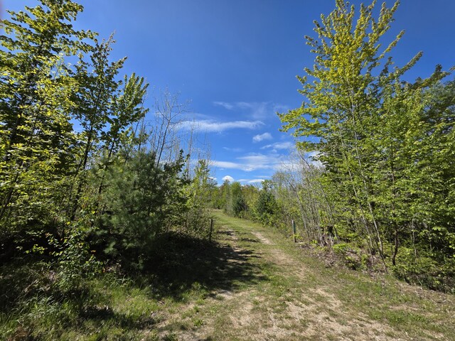 2147 E Beyer Rd, Free Soil, MI 49411