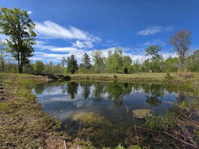 2147 E Beyer Rd, Free Soil, MI 49411