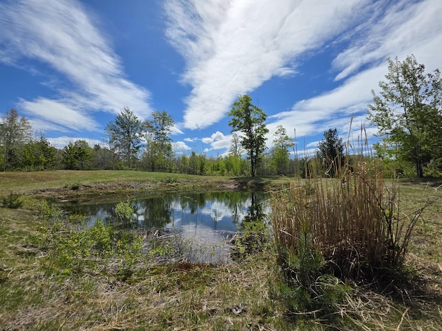 2147 E Beyer Rd, Free Soil, MI 49411
