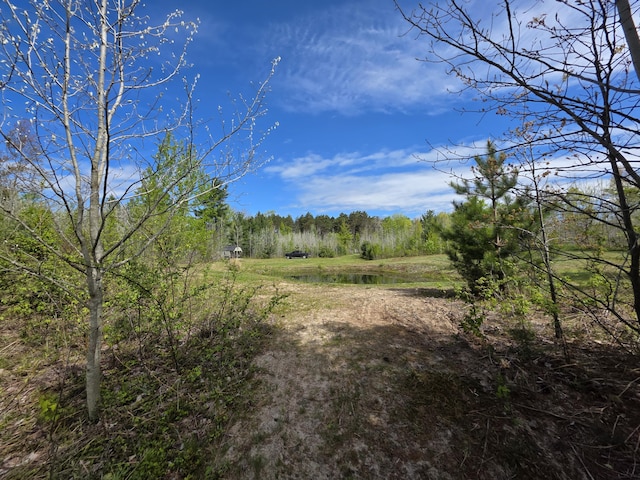 2147 E Beyer Rd, Free Soil, MI 49411