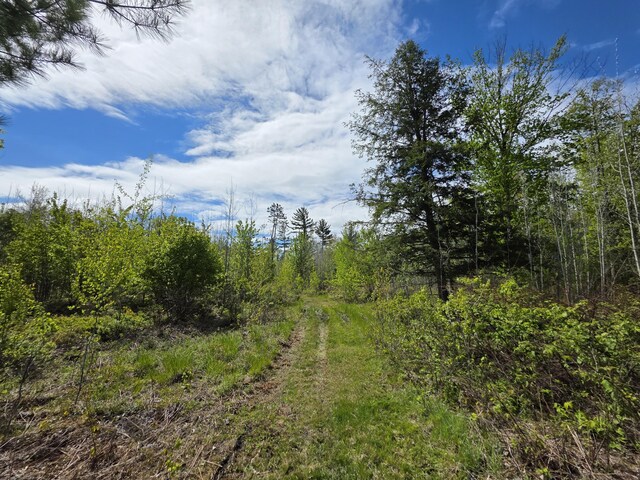 2147 E Beyer Rd, Free Soil, MI 49411