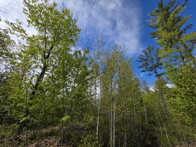 2147 E Beyer Rd, Free Soil, MI 49411