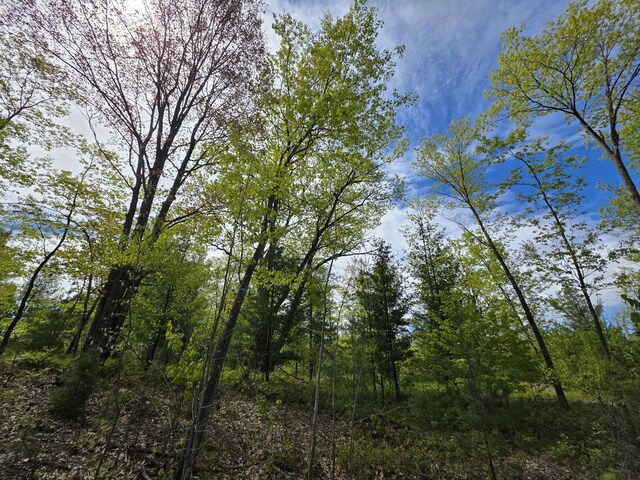 2147 E Beyer Rd, Free Soil, MI 49411