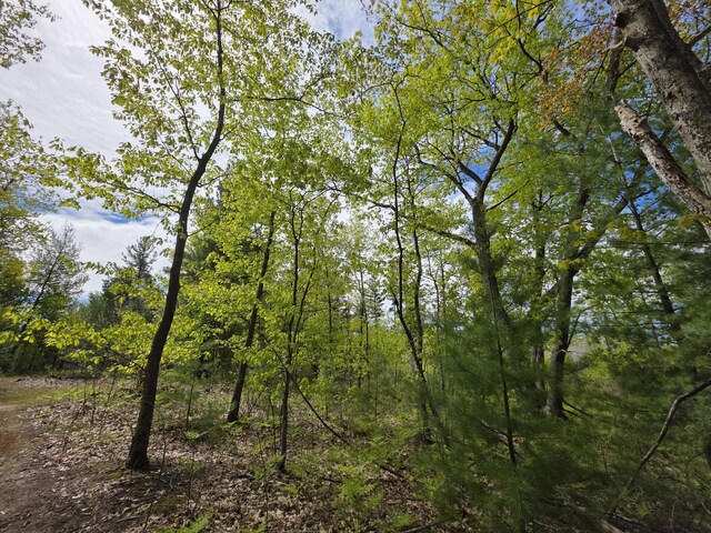 2147 E Beyer Rd, Free Soil, MI 49411