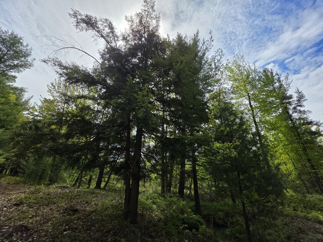 2147 E Beyer Rd, Free Soil, MI 49411