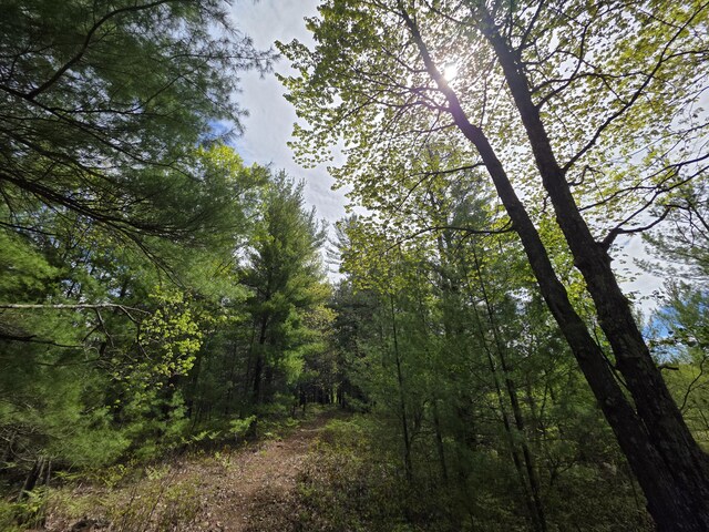 2147 E Beyer Rd, Free Soil, MI 49411