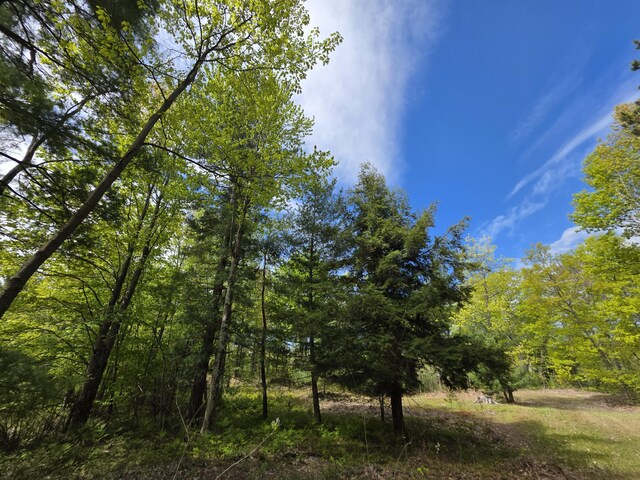 2147 E Beyer Rd, Free Soil, MI 49411