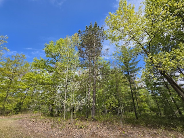 2147 E Beyer Rd, Free Soil, MI 49411