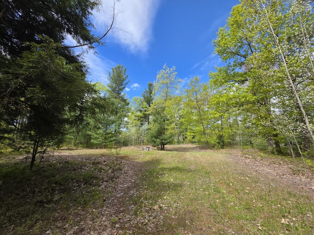 2147 E Beyer Rd, Free Soil, MI 49411