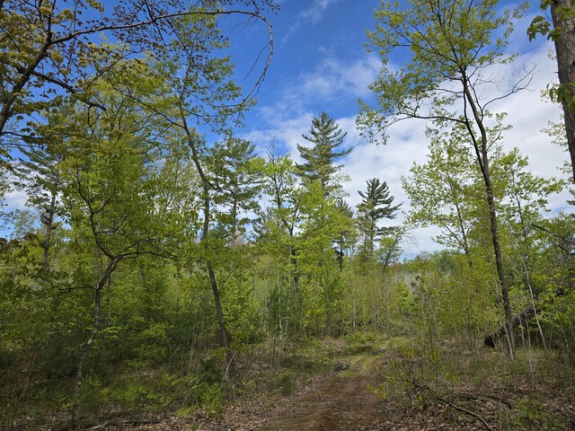 2147 E Beyer Rd, Free Soil, MI 49411