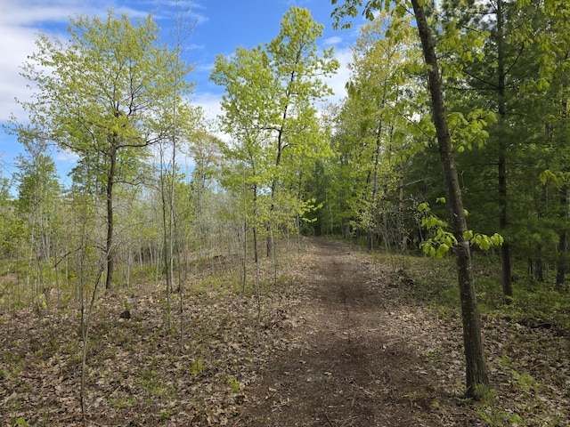 2147 E Beyer Rd, Free Soil, MI 49411