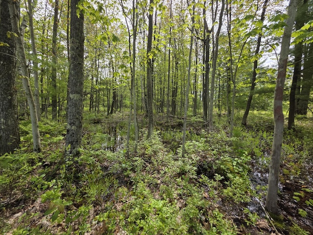 2147 E Beyer Rd, Free Soil, MI 49411