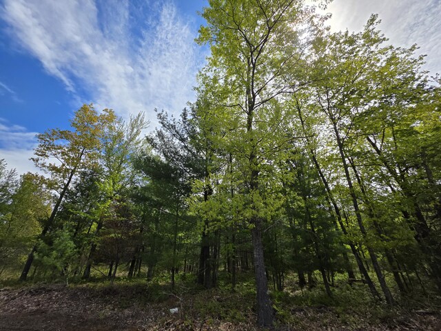 2147 E Beyer Rd, Free Soil, MI 49411