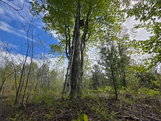 2147 E Beyer Rd, Free Soil, MI 49411
