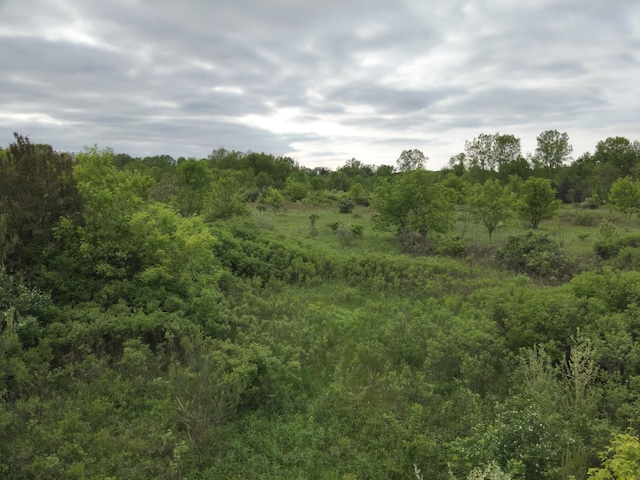 Bunkerhill Rd, Jackson, MI 49201 - photo 1