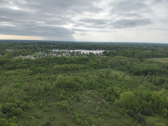 Bunkerhill Rd, Jackson, MI 49201 - photo 2