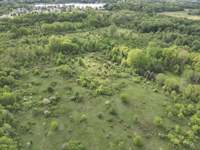 Bunkerhill Rd, Jackson, MI 49201 - photo 3