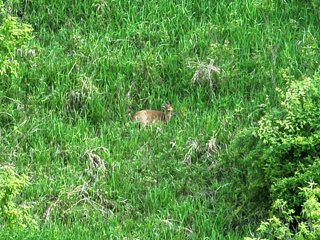 Bunkerhill Rd, Jackson, MI 49201 - photo 4