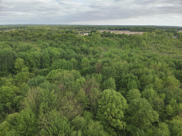 Bunkerhill Rd, Jackson, MI 49201 - photo 6